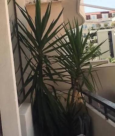 50 M De La Croisette Situe Dans La Banane- Le Carre D'or